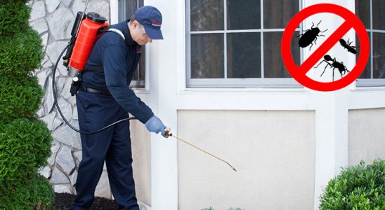 Kozlu Bit İlaçlama böcek ilaçlama ve haşere kontrolü — ilaclama-tr.com